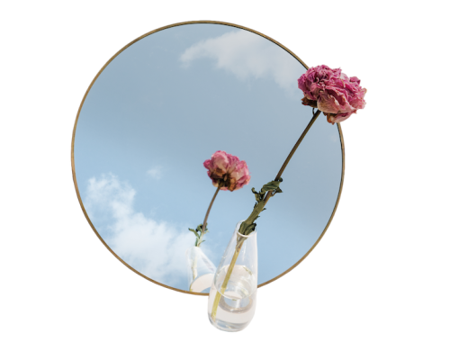 flower photo in front of round mirror, on the mirror there is reflection of cloudy bright sky